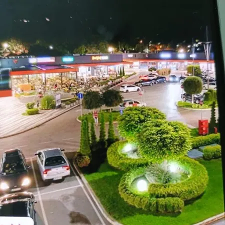 De Lux Nedeljkovic President *