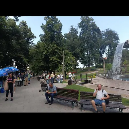 De Lux Nedeljkovic President *