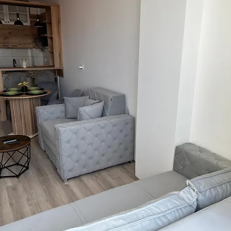 De Lux Nedeljkovic President *