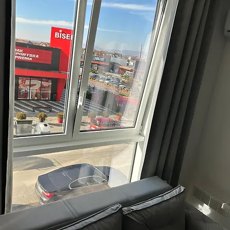 De Lux Nedeljkovic President *