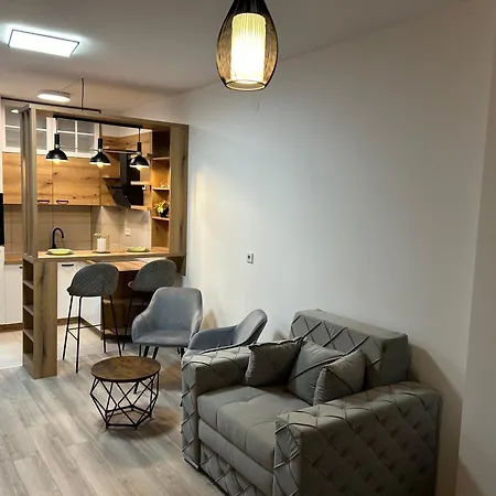 De Lux Nedeljkovic President Apartmán *