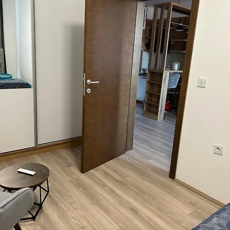 De Lux Nedeljkovic President