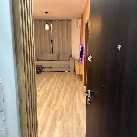 De Lux Nedeljkovic President