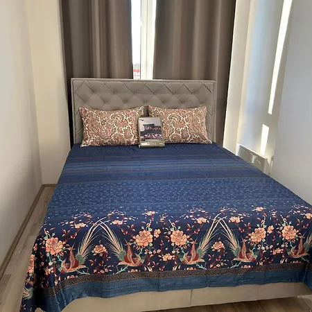 De Lux Nedeljkovic President Apartmán *