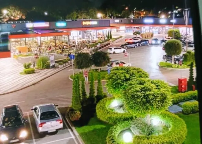 De Lux Nedeljkovic President *