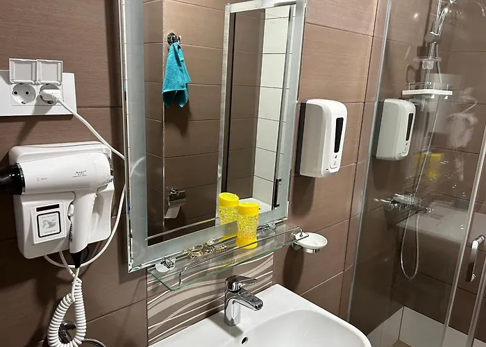 De Lux Nedeljkovic President 公寓