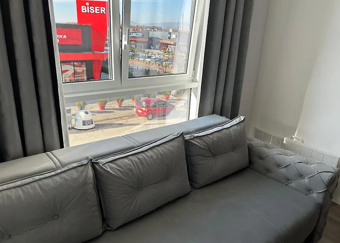 De Lux Nedeljkovic President *