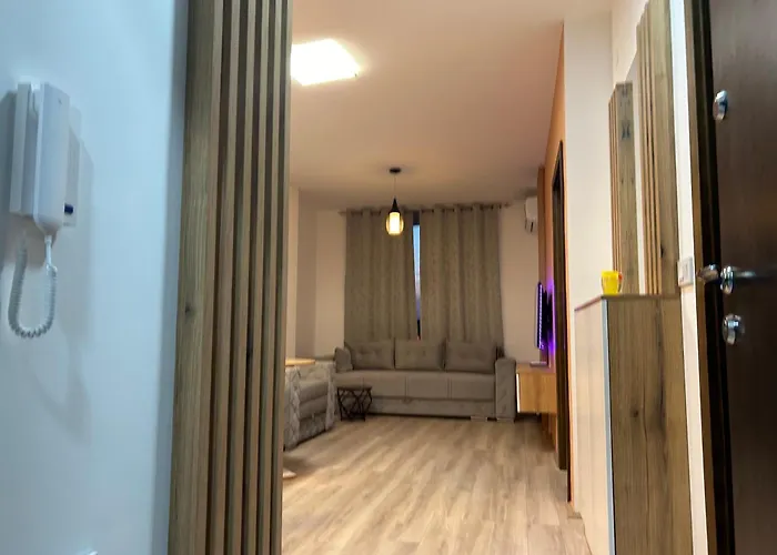 公寓 De Lux Nedeljkovic President 雅戈丁那