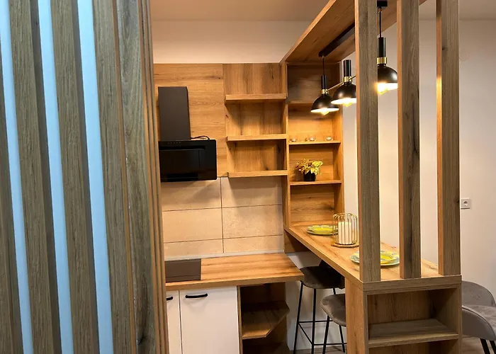 公寓 De Lux Nedeljkovic President *