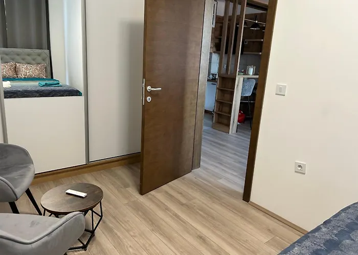 De Lux Nedeljkovic President