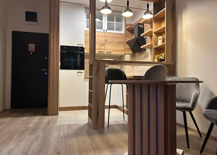 De Lux Nedeljkovic President 公寓 雅戈丁那