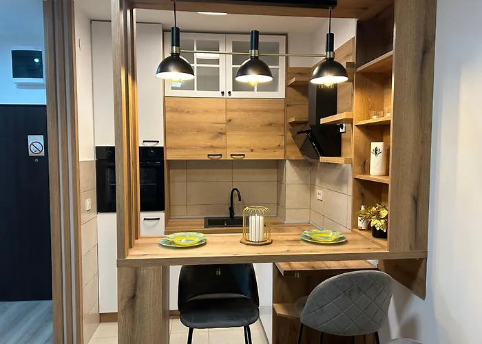 De Lux Nedeljkovic President 公寓